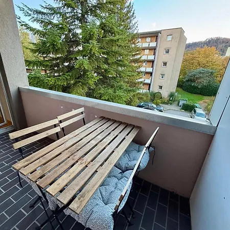 Basic & Simple On Langgruetstrasse * ציריך