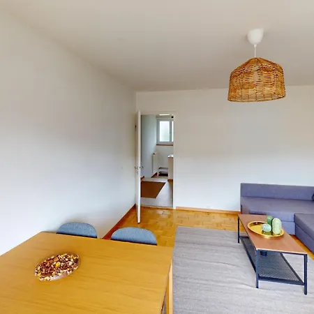 Apartment Basic & Simple On Langgruetstrasse Zurich