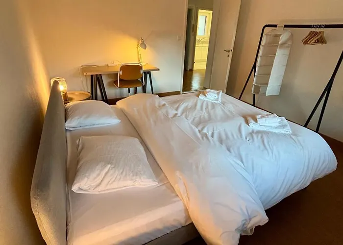 Basic & Simple On Langgruetstrasse